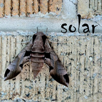 Solar - Wait Now