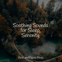 Study Zone, Relaxamento, Especialistas de Musica para Dormir - Soothing Sounds for Sleep, Serenity