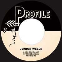 Junior Wells - You Don't Care