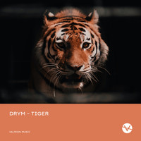 DRYM - Tiger