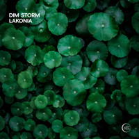 Dim Storm - Lakonia