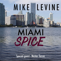 Mike Levine - Miami Spice (feat. Nestor Torres)