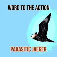 Word to the Action - Parasitic Jaeger