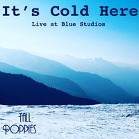 Tall Poppies - It's Cold Here (Live at Blue Studios)