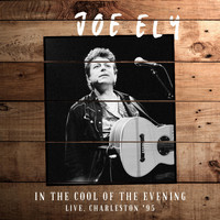 Joe Ely - In The Cool Of The Evening (Live, Charleston '95)