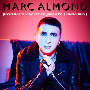 Marc Almond - Pleasure's Wherever You Are (Radio Mix)