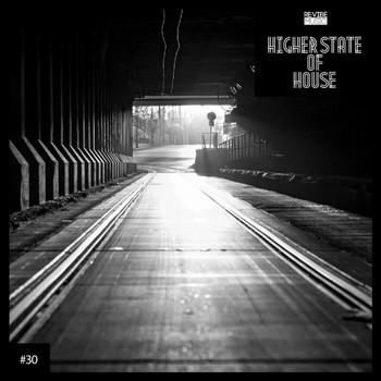 Various Artists - Higher State of House, Vol. 30