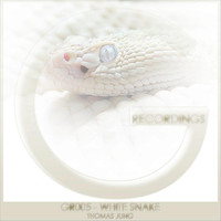 Thomas Jung - GR005 - White Snake