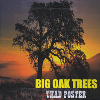 Thad Foster - Big Oak Trees