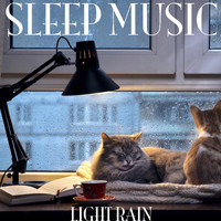 Sleep Music - Light Rain