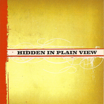 Hidden in Plain View - Hidden in Plain View