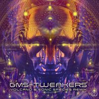 GMS - Tweakers (Volcano & Sonic Species Remix)