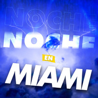 La Mejor Música Electrónica - Noche En Miami