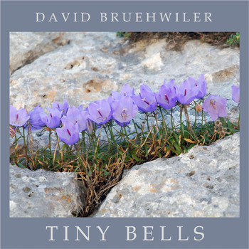 David Bruehwiler - Tiny Bells