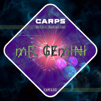 Mr. Gemini - Relict Radiation