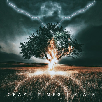 Crazy Times - PAR