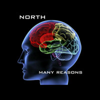 North - Many Reasons