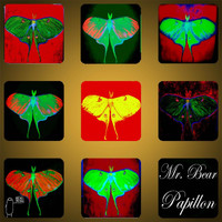 Mr Bear - Papillon E.P.