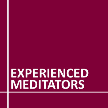 Various Artists - Experienced Meditators
