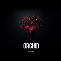 Molly - Orchid