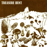 Treasure Hunt - Treasure Hunt