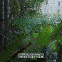 Forest for Rest - Forest Rain Sounds