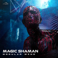 magic shaman - Modular Mind