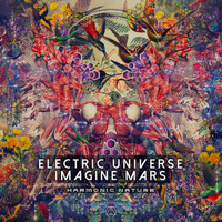 Electric Universe and Imagine Mars - Harmonic Nature