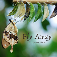 Liquid Air - Fly Away