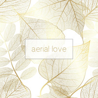 Aerial Love - Celestial