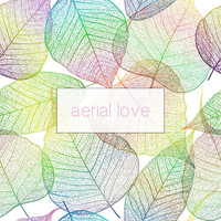 Aerial Love - Over the Rainbow