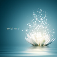 Aerial Love - Light in the Attic