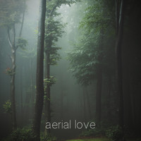 Aerial Love - Green