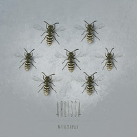 Arlissa - Multiply (Acoustic)