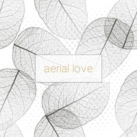 Aerial Love - Breeze