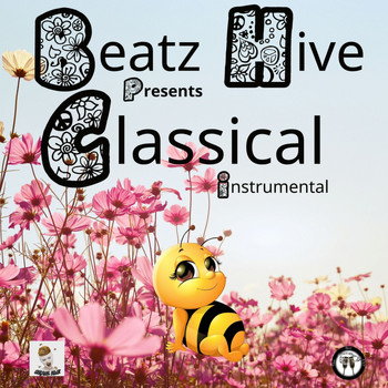 Beatz Hive - Classical Instrumental