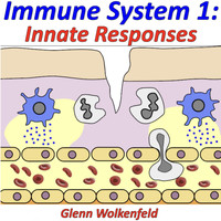 Glenn Wolkenfeld - Immune System 1: Innate Responses