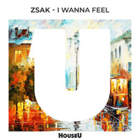 Zsak - I Wanna Feel