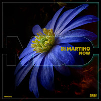 Di Martino - Now