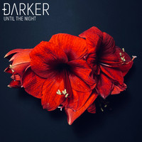 DARKER - Until the Night