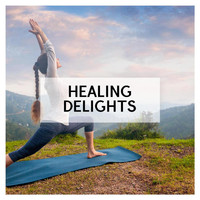 Robin Hayes - Healing Delights