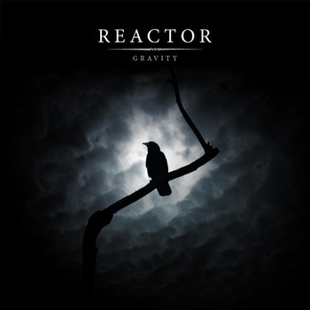 Reactor - Gravity (Explicit)