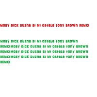 Moby Dick - duzna si mi ostala (Tony brown remix)