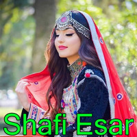 Shafi Esar - Zan Dy Singar Karay Dy, Vol. 3312