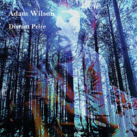 Adam Wilson - Distant Prize