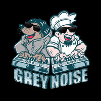 Grey Noise - Fj__King