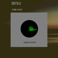 Bigmile - Dark Alloy