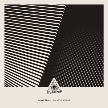 Caner Seval - Galactic Woods