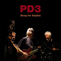 PD3 (Pete Downes Trio) - Song for Sophia
