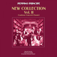 Peppino Principe - PEPPINO PRINCIPE - NEW COLLECTION, vol. 2 (Background Tracks)